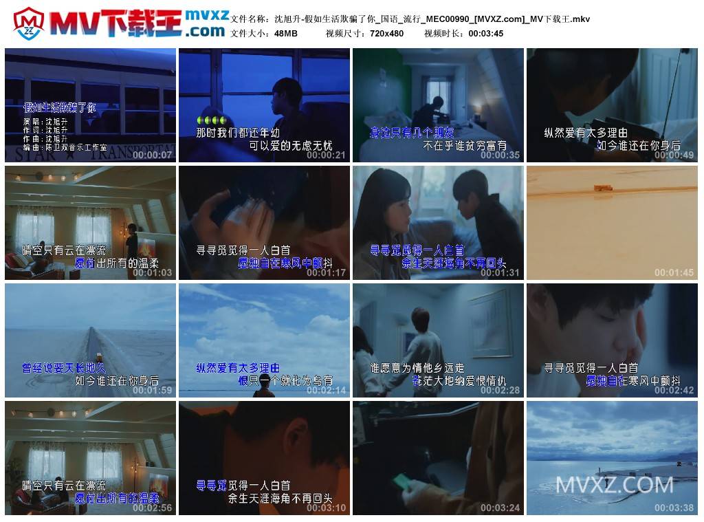 沈旭升-假如生活欺骗了你_国语_流行_MEC00990